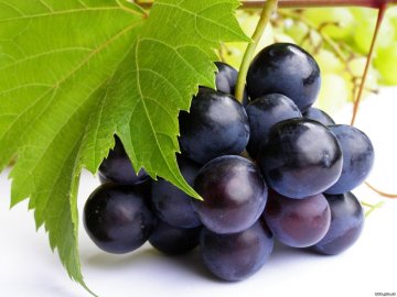 Самые вкусные столовые и винные сорта винограда